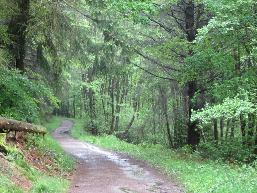 Klicke auf die Grafik für eine vergrößerte Ansicht

Name: IMG_11241.jpg
Ansichten: 78
Größe: 262,7 KB
ID: 3359453