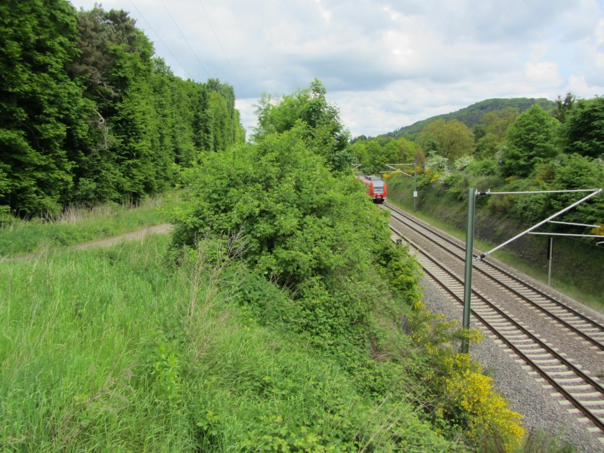 Klicke auf die Grafik für eine vergrößerte Ansicht

Name: IMG_1139.jpg
Ansichten: 73
Größe: 240,5 KB
ID: 3359487