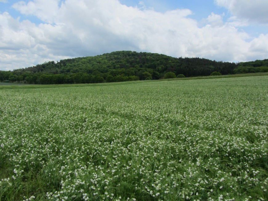 Klicke auf die Grafik für eine vergrößerte Ansicht

Name: IMG_11412.jpg
Ansichten: 74
Größe: 208,5 KB
ID: 3359490