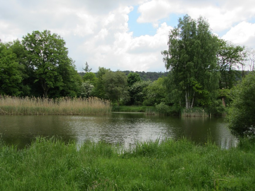 Klicke auf die Grafik für eine vergrößerte Ansicht

Name: IMG_11563.jpg
Ansichten: 75
Größe: 173,7 KB
ID: 3359491