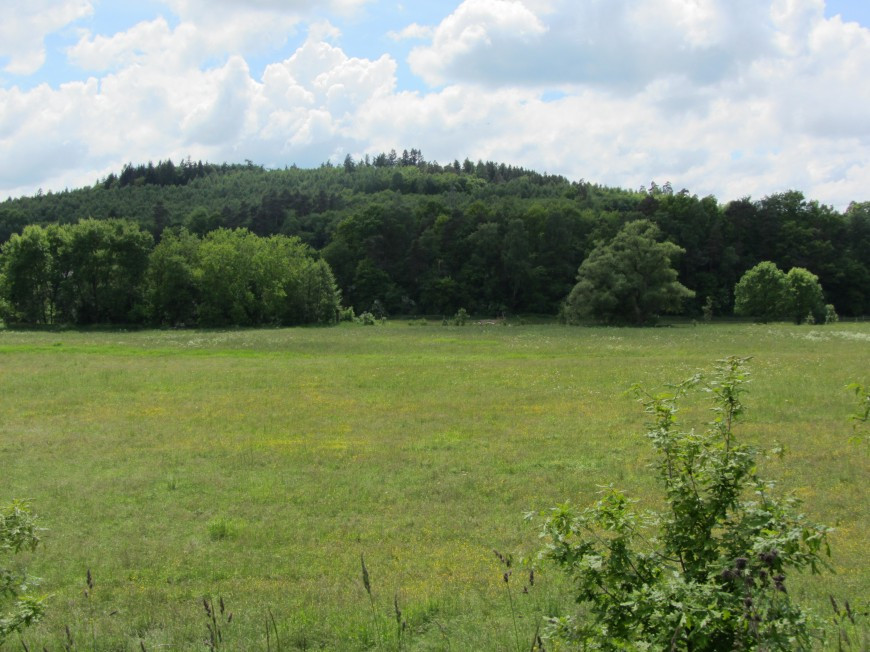 Klicke auf die Grafik für eine vergrößerte Ansicht

Name: IMG_11651.jpg
Ansichten: 72
Größe: 172,7 KB
ID: 3359496