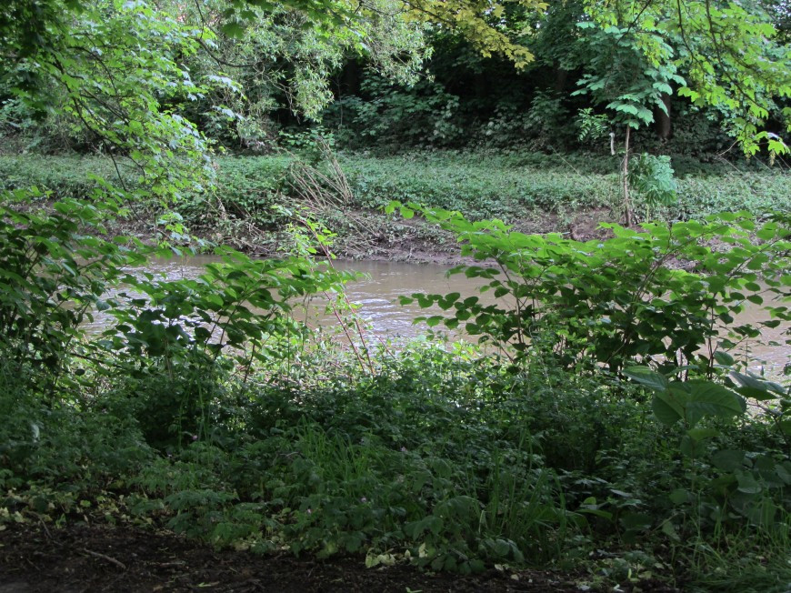 Klicke auf die Grafik für eine vergrößerte Ansicht

Name: IMG_11671.jpg
Ansichten: 70
Größe: 299,8 KB
ID: 3359500