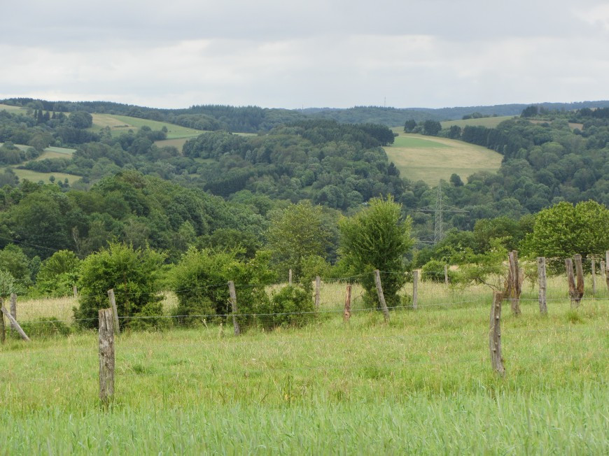 Klicke auf die Grafik für eine vergrößerte Ansicht

Name: IMG_12122.jpg
Ansichten: 64
Größe: 192,8 KB
ID: 3359527