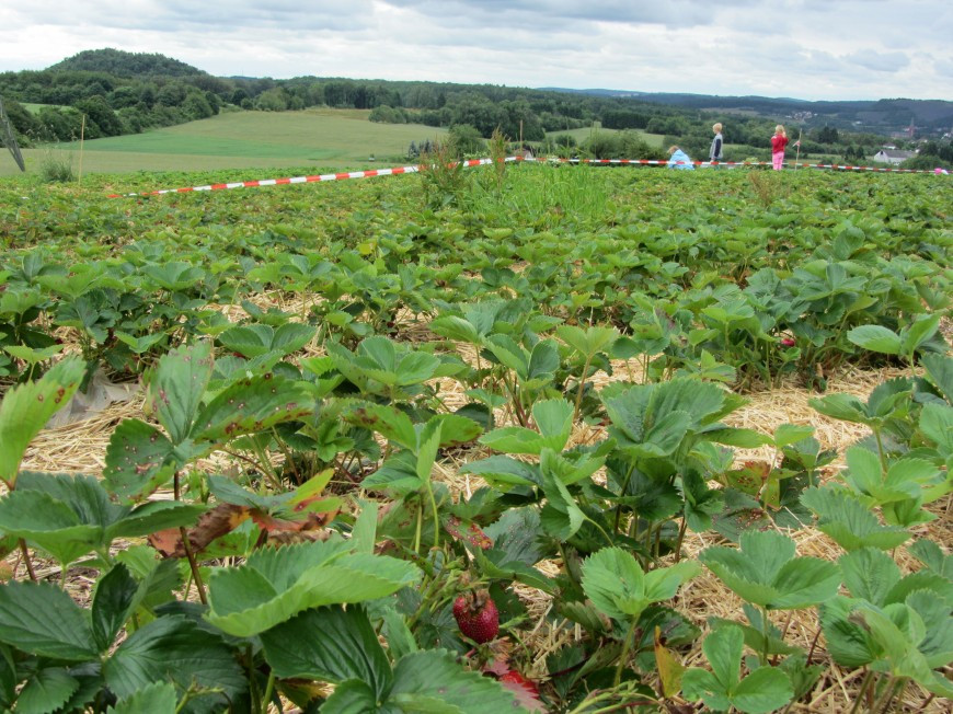 Klicke auf die Grafik für eine vergrößerte Ansicht

Name: IMG_12151.jpg
Ansichten: 62
Größe: 242,4 KB
ID: 3359529