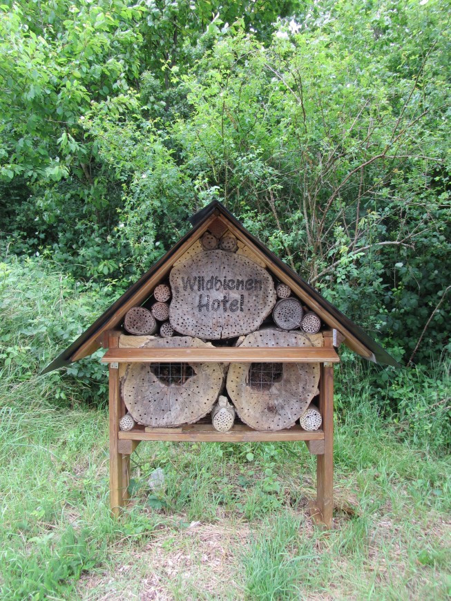 Klicke auf die Grafik für eine vergrößerte Ansicht

Name: IMG_12171.jpg
Ansichten: 63
Größe: 339,5 KB
ID: 3359530