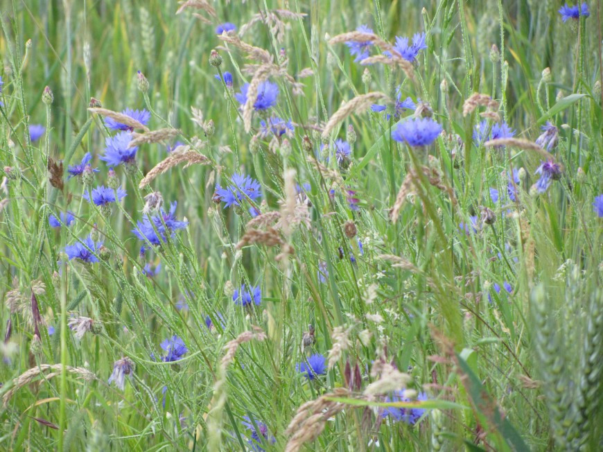 Klicke auf die Grafik für eine vergrößerte Ansicht

Name: IMG_12232.jpg
Ansichten: 63
Größe: 240,0 KB
ID: 3359532