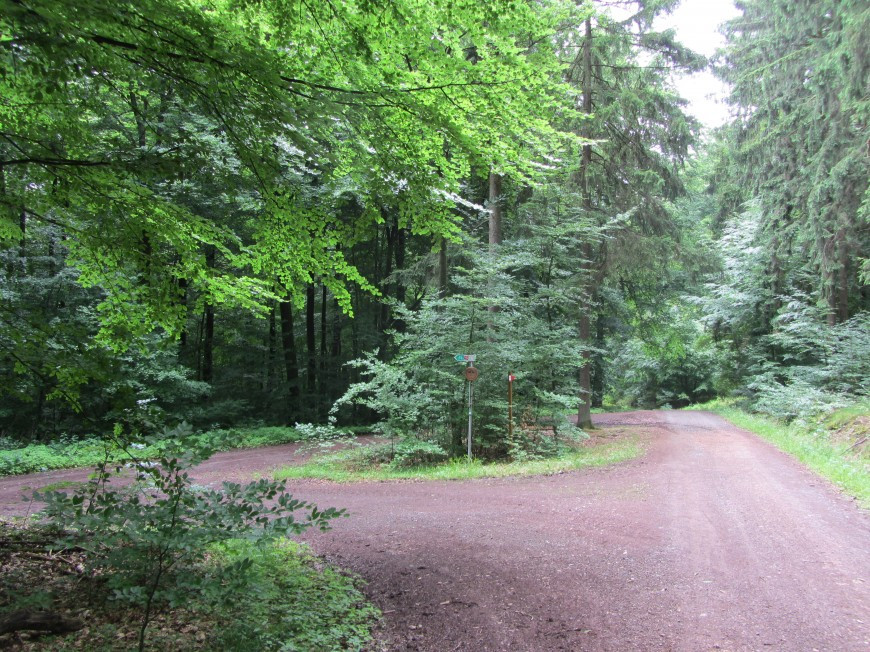 Klicke auf die Grafik für eine vergrößerte Ansicht

Name: IMG_12411.jpg
Ansichten: 64
Größe: 298,3 KB
ID: 3359538