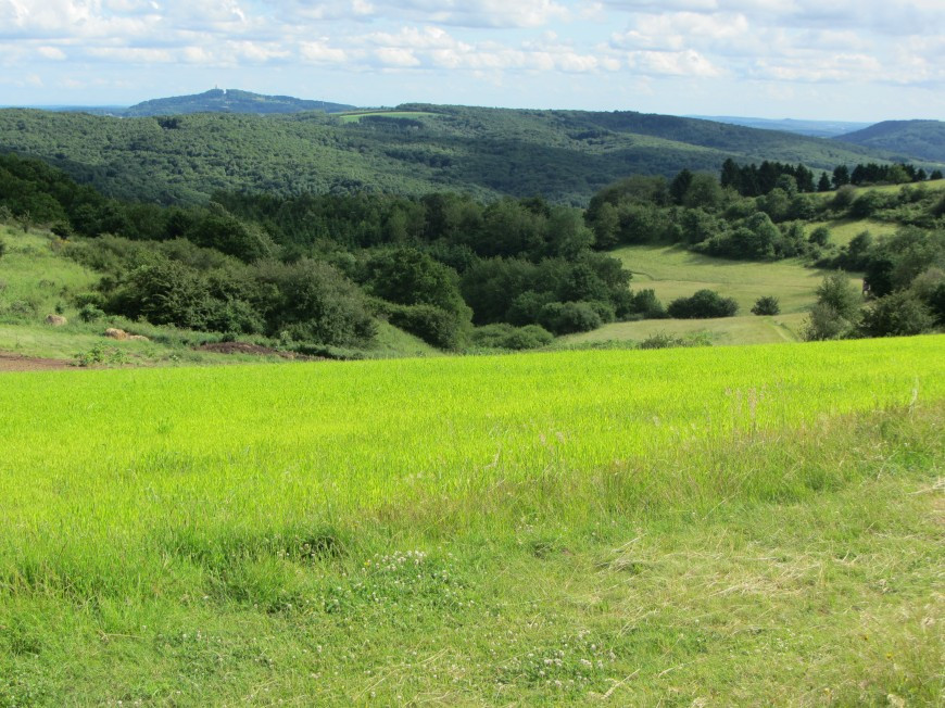 Klicke auf die Grafik für eine vergrößerte Ansicht

Name: IMG_12511.jpg
Ansichten: 66
Größe: 223,5 KB
ID: 3359544