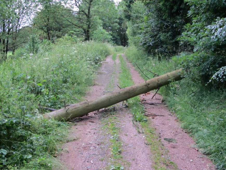 Klicke auf die Grafik für eine vergrößerte Ansicht

Name: IMG_12583.jpg
Ansichten: 63
Größe: 292,1 KB
ID: 3359547