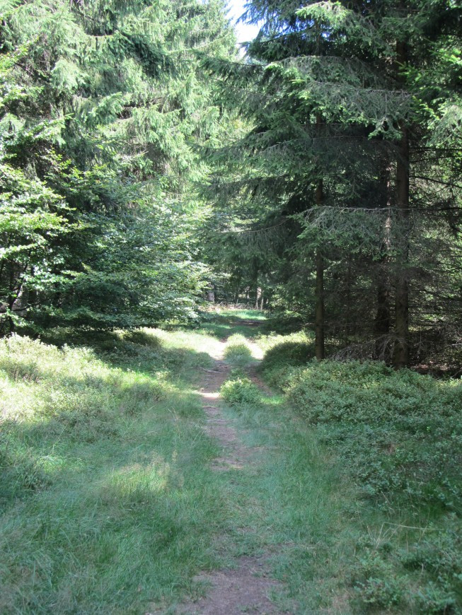 Klicke auf die Grafik für eine vergrößerte Ansicht

Name: IMG_13162.jpg
Ansichten: 63
Größe: 288,2 KB
ID: 3359564