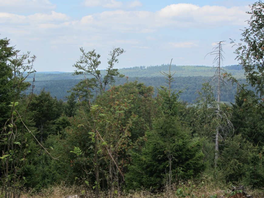 Klicke auf die Grafik für eine vergrößerte Ansicht

Name: IMG_1320.jpg
Ansichten: 67
Größe: 201,8 KB
ID: 3359566