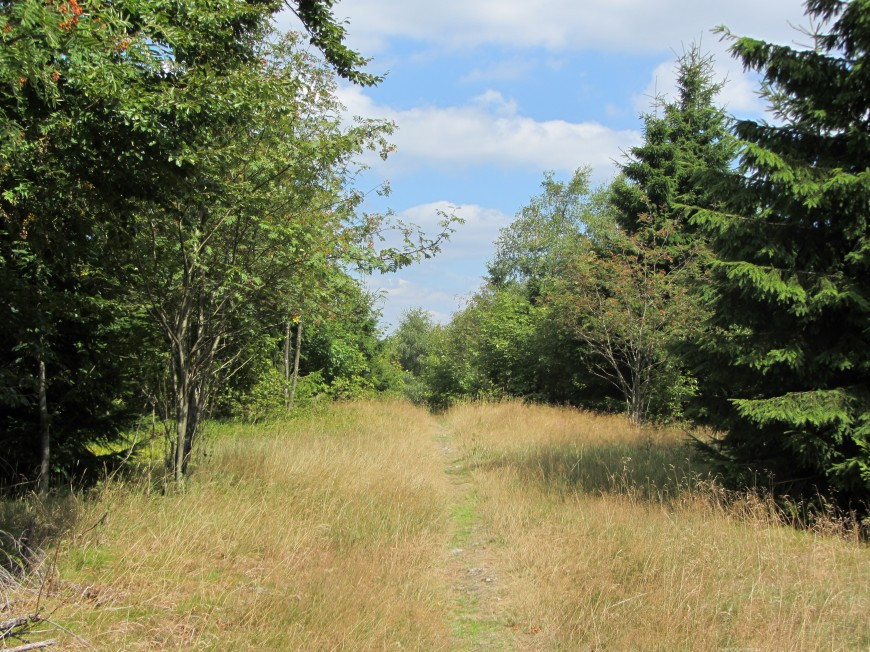 Klicke auf die Grafik für eine vergrößerte Ansicht

Name: IMG_13211.jpg
Ansichten: 63
Größe: 264,3 KB
ID: 3359568