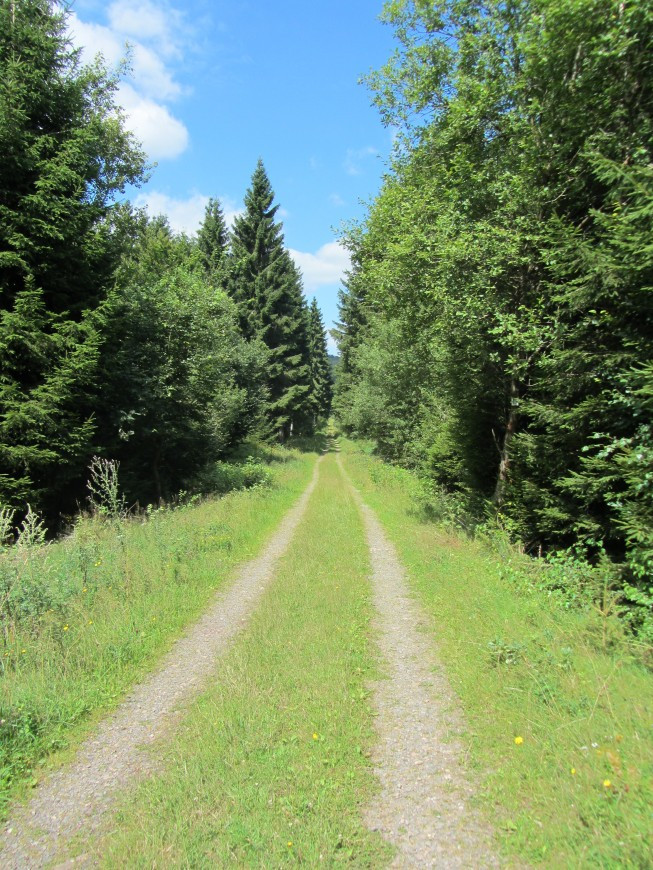 Klicke auf die Grafik für eine vergrößerte Ansicht

Name: IMG_1324.jpg
Ansichten: 62
Größe: 281,1 KB
ID: 3359569