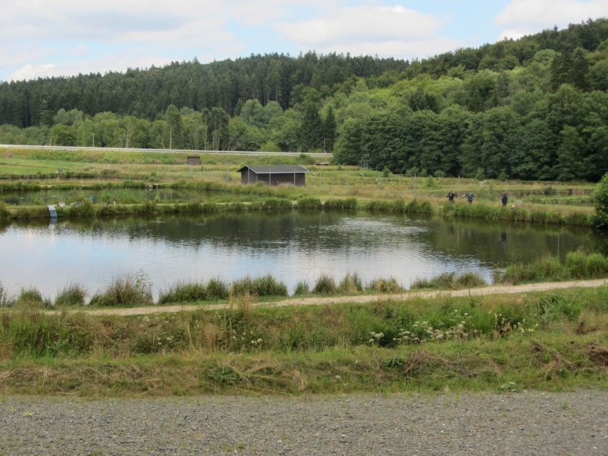 Klicke auf die Grafik für eine vergrößerte Ansicht

Name: IMG_13292.jpg
Ansichten: 66
Größe: 192,6 KB
ID: 3359570