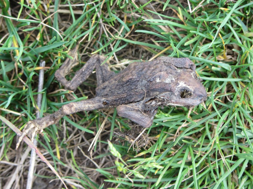 Klicke auf die Grafik für eine vergrößerte Ansicht

Name: IMG_13332.jpg
Ansichten: 62
Größe: 244,2 KB
ID: 3359574