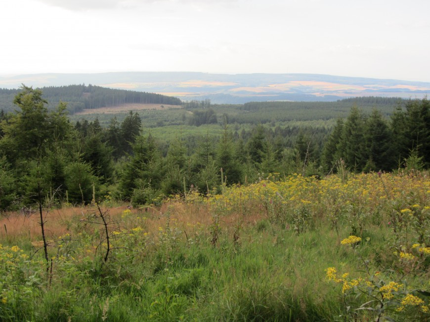 Klicke auf die Grafik für eine vergrößerte Ansicht

Name: IMG_1341.jpg
Ansichten: 65
Größe: 172,3 KB
ID: 3359578