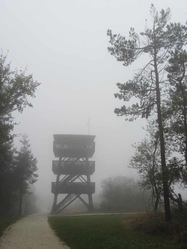 Klicke auf die Grafik für eine vergrößerte Ansicht

Name: IMG_13841.jpg
Ansichten: 65
Größe: 119,8 KB
ID: 3359596