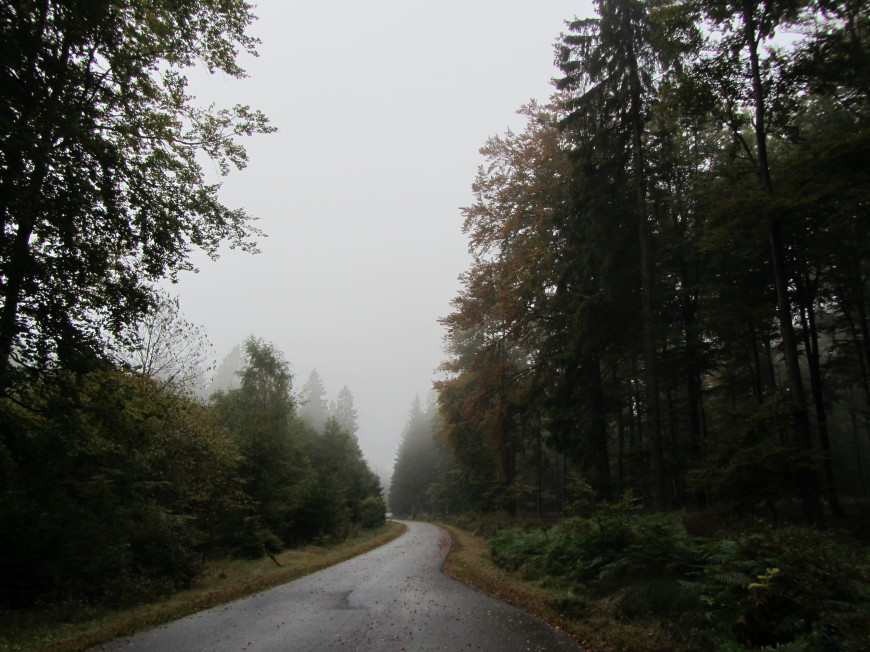 Klicke auf die Grafik für eine vergrößerte Ansicht

Name: IMG_13862.jpg
Ansichten: 63
Größe: 170,9 KB
ID: 3359597