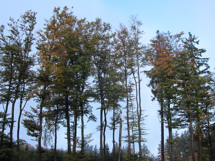 Klicke auf die Grafik für eine vergrößerte Ansicht

Name: IMG_13883.jpg
Ansichten: 62
Größe: 295,2 KB
ID: 3359598