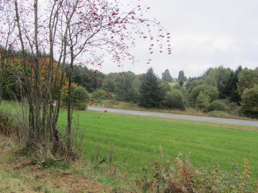 Klicke auf die Grafik für eine vergrößerte Ansicht

Name: IMG_13984.jpg
Ansichten: 64
Größe: 212,3 KB
ID: 3359602