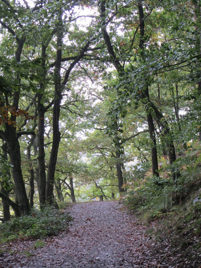 Klicke auf die Grafik für eine vergrößerte Ansicht

Name: IMG_1434.jpg
Ansichten: 62
Größe: 306,1 KB
ID: 3359616