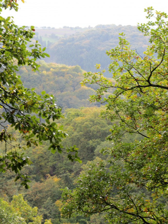 Klicke auf die Grafik für eine vergrößerte Ansicht

Name: IMG_14372.jpg
Ansichten: 61
Größe: 253,5 KB
ID: 3359617