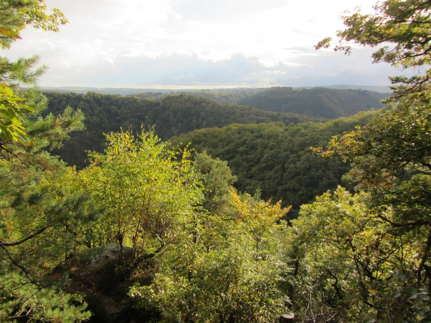 Klicke auf die Grafik für eine vergrößerte Ansicht

Name: IMG_1438.jpg
Ansichten: 61
Größe: 255,5 KB
ID: 3359618