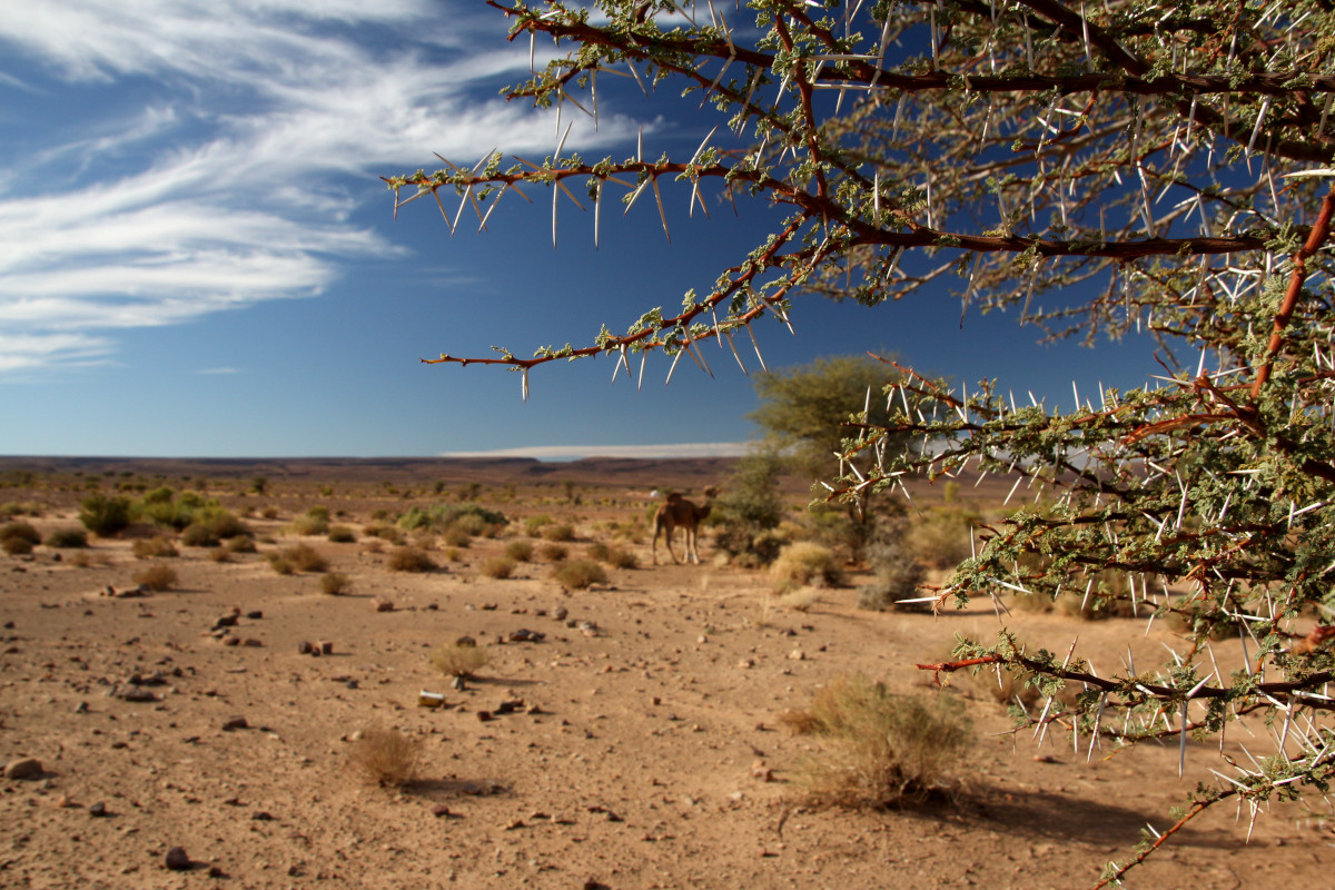 Klicke auf die Grafik für eine vergrößerte Ansicht

Name: IMG_2345.jpg
Ansichten: 229
Größe: 392,9 KB
ID: 3359592