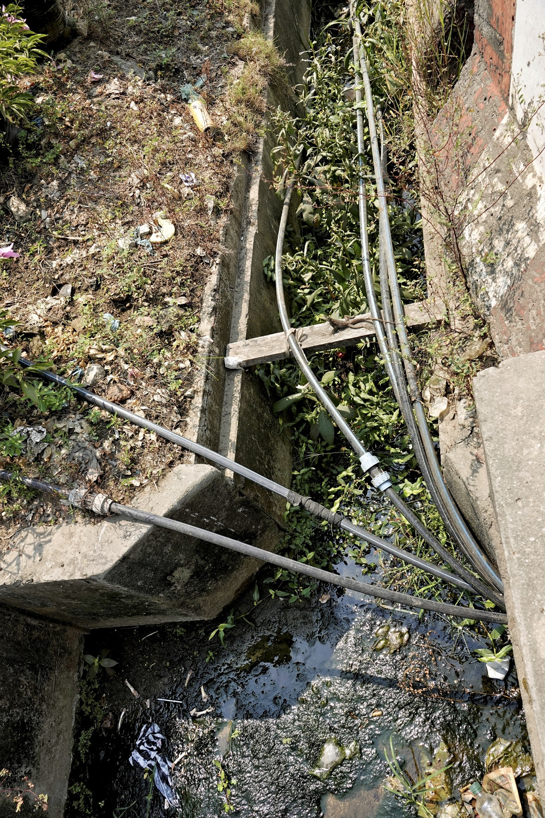 Klicke auf die Grafik für eine vergrößerte Ansicht  Name: _SNY0450R.jpg Ansichten: 0 Größe: 1,07 MB ID: 3359694