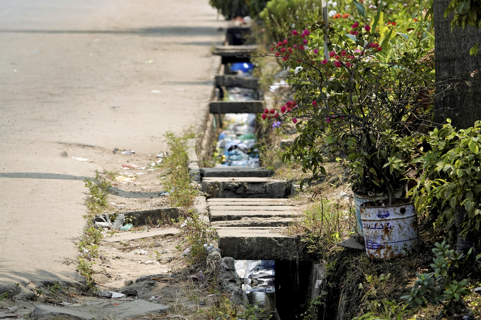 Klicke auf die Grafik für eine vergrößerte Ansicht  Name: _SNY0453R.jpg Ansichten: 0 Größe: 690,0 KB ID: 3359699