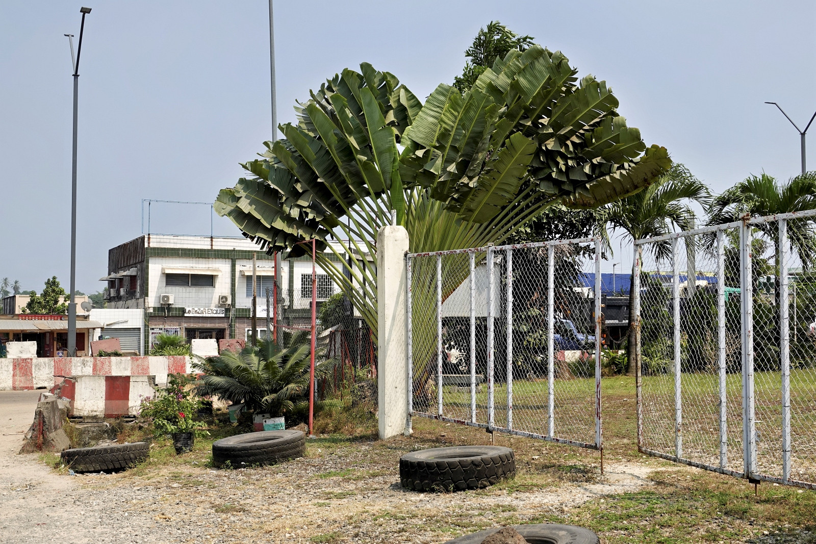 Klicke auf die Grafik für eine vergrößerte Ansicht  Name: _SNY0447R.jpg Ansichten: 0 Größe: 806,4 KB ID: 3359701