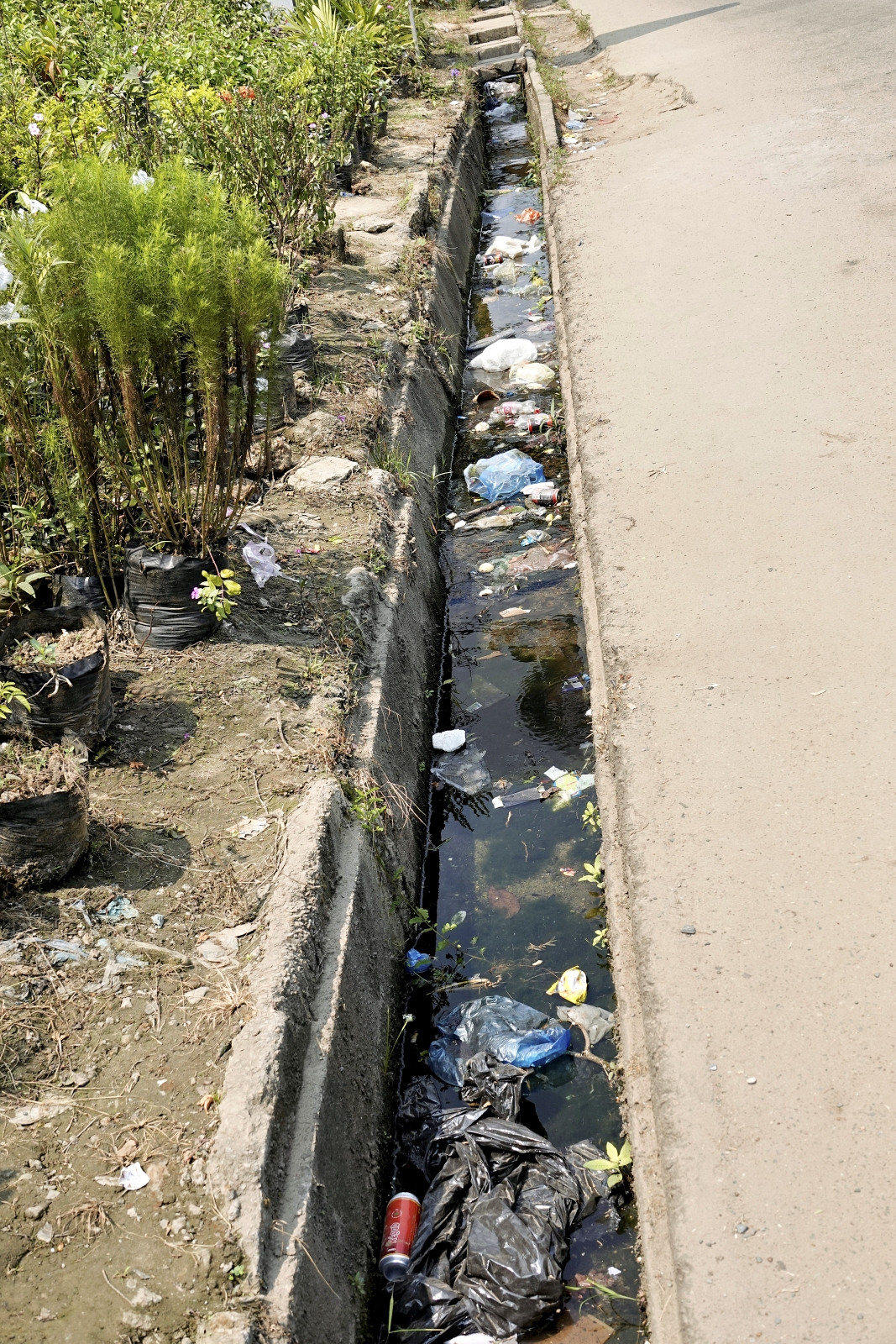 Klicke auf die Grafik für eine vergrößerte Ansicht  Name: _SNY0455R.jpg Ansichten: 0 Größe: 840,0 KB ID: 3359704