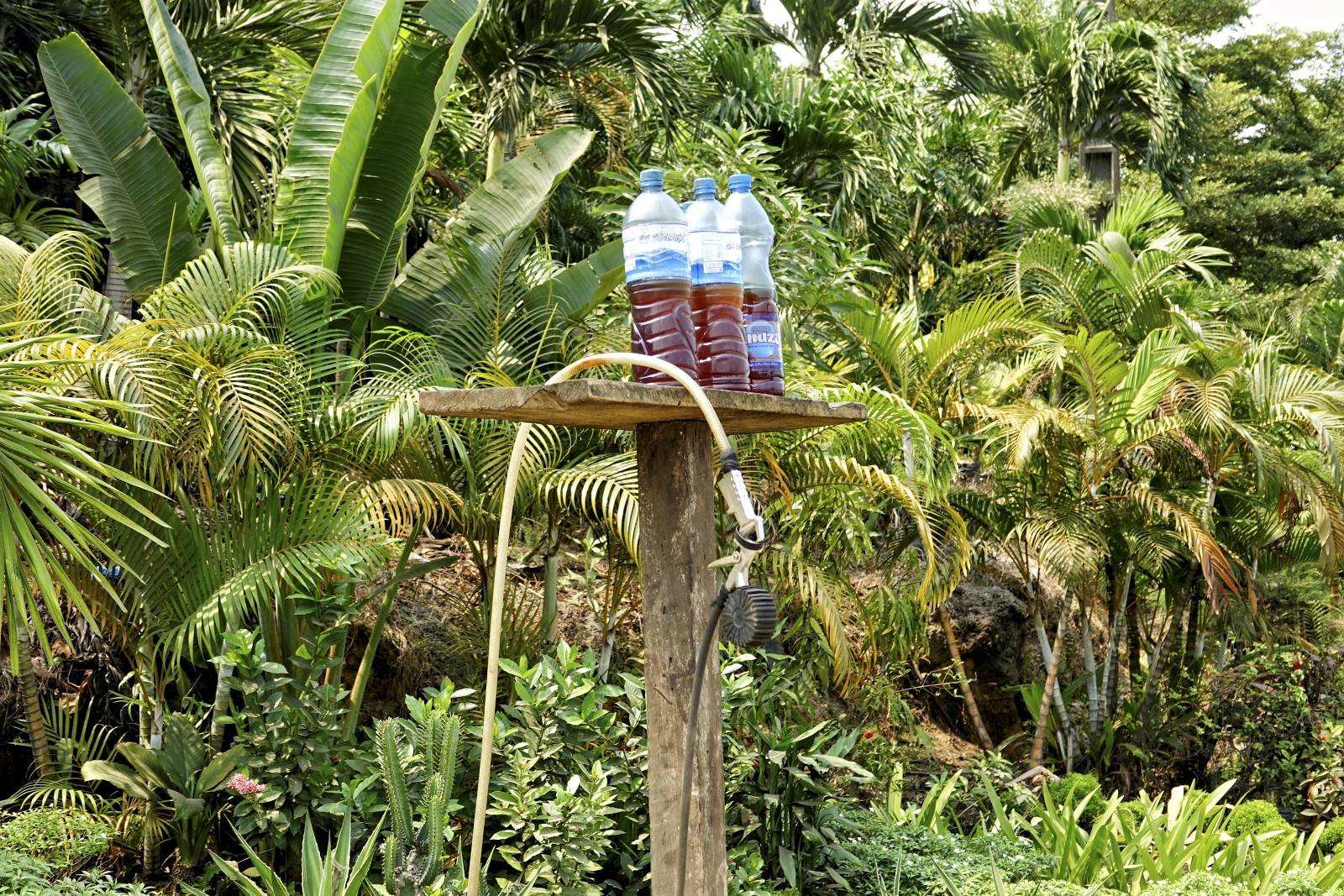 Klicke auf die Grafik für eine vergrößerte Ansicht  Name: _SNY0456R.jpg Ansichten: 0 Größe: 1.023,7 KB ID: 3359706