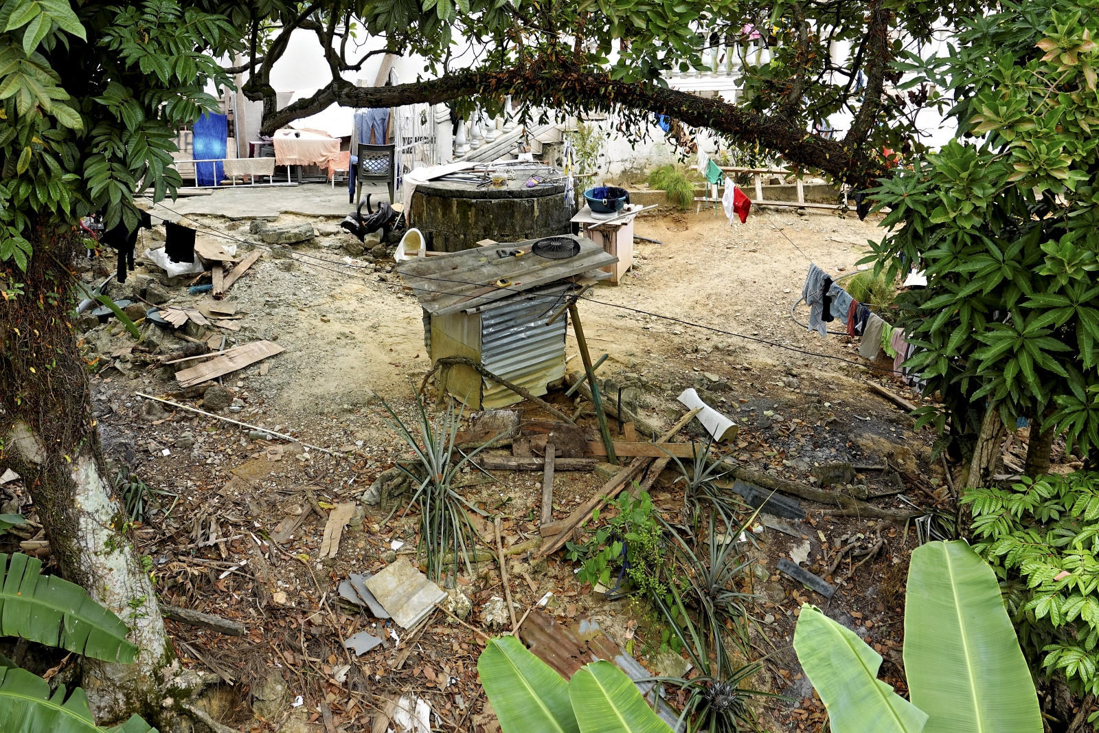 Klicke auf die Grafik für eine vergrößerte Ansicht  Name: _SNY0534R.jpg Ansichten: 0 Größe: 1,00 MB ID: 3359711