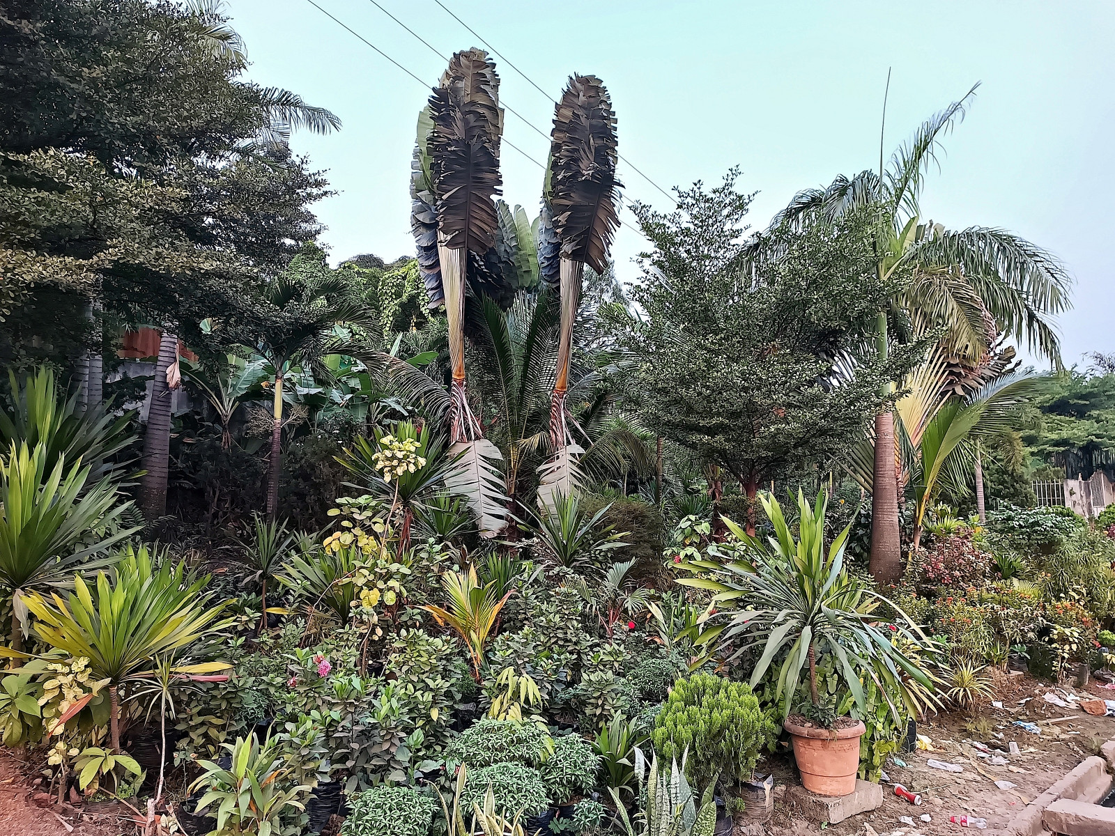 Klicke auf die Grafik für eine vergrößerte Ansicht  Name: IMG_20240630_180745_871R.jpg Ansichten: 0 Größe: 1,14 MB ID: 3359716