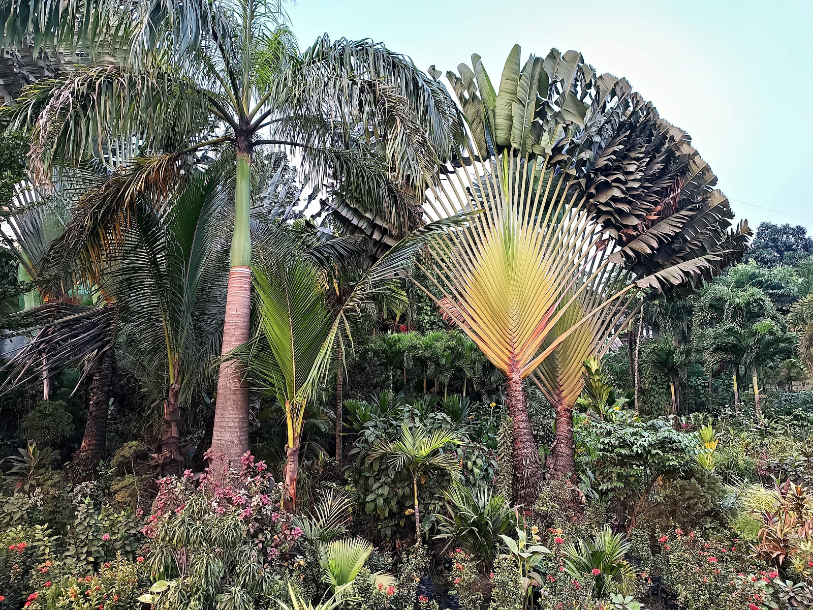 Klicke auf die Grafik für eine vergrößerte Ansicht  Name: IMG_20240630_180800_084R.jpg Ansichten: 0 Größe: 1,24 MB ID: 3359718