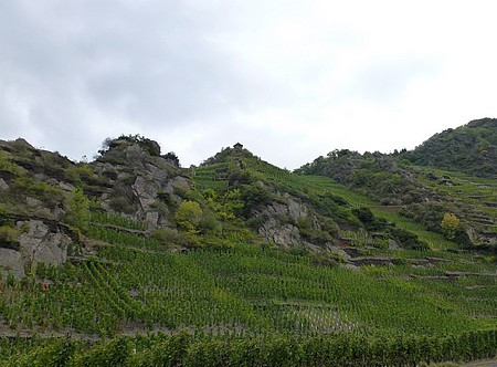 Klicke auf die Grafik für eine vergrößerte Ansicht

Name: neues_wai20.jpg
Ansichten: 48
Größe: 54,3 KB
ID: 3359772