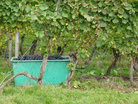 Klicke auf die Grafik für eine vergrößerte Ansicht

Name: neues_wai22.jpg
Ansichten: 50
Größe: 88,0 KB
ID: 3359774