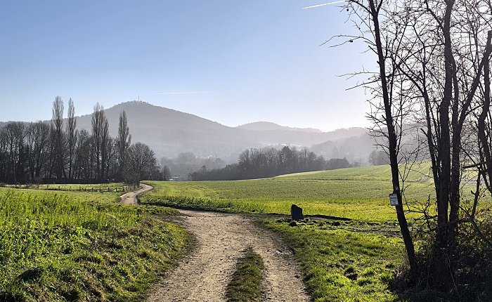 Klicke auf die Grafik für eine vergrößerte Ansicht  Name: 11.jpg Ansichten: 0 Größe: 939,6 KB ID: 3359819