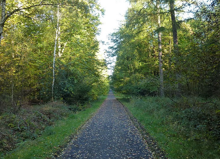 Klicke auf die Grafik für eine vergrößerte Ansicht  Name: wai-nach-nrw8_.jpg Ansichten: 0 Größe: 228,1 KB ID: 3359794