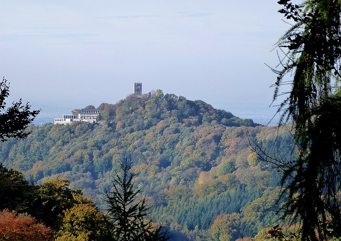 Klicke auf die Grafik für eine vergrößerte Ansicht  Name: wai-nach-nrw12_.jpg Ansichten: 0 Größe: 146,3 KB ID: 3359798