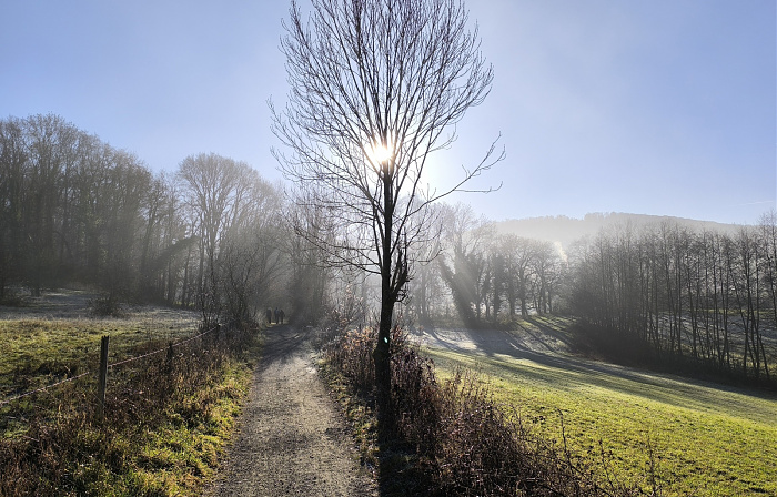 Klicke auf die Grafik für eine vergrößerte Ansicht  Name: 12.jpg Ansichten: 0 Größe: 903,7 KB ID: 3359820