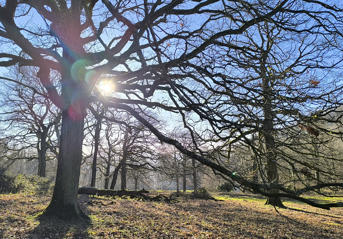 Klicke auf die Grafik für eine vergrößerte Ansicht  Name: 15.jpg Ansichten: 0 Größe: 1,39 MB ID: 3359823