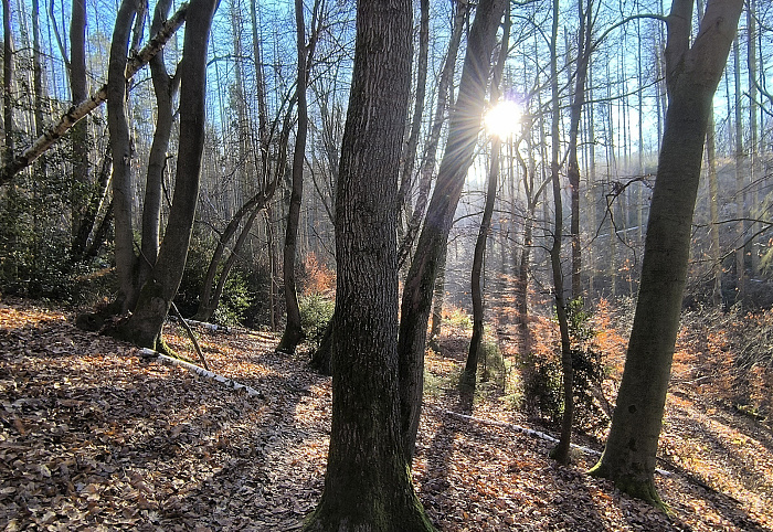 Klicke auf die Grafik für eine vergrößerte Ansicht  Name: 21.jpg Ansichten: 0 Größe: 1,33 MB ID: 3359829