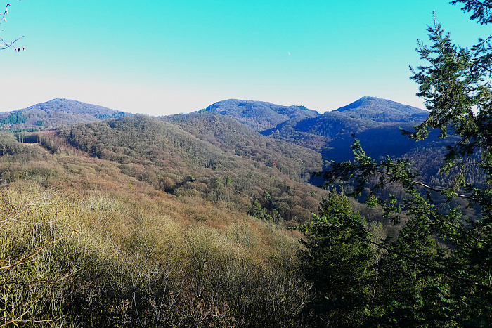 Klicke auf die Grafik für eine vergrößerte Ansicht  Name: 24.jpg Ansichten: 0 Größe: 1,15 MB ID: 3359831