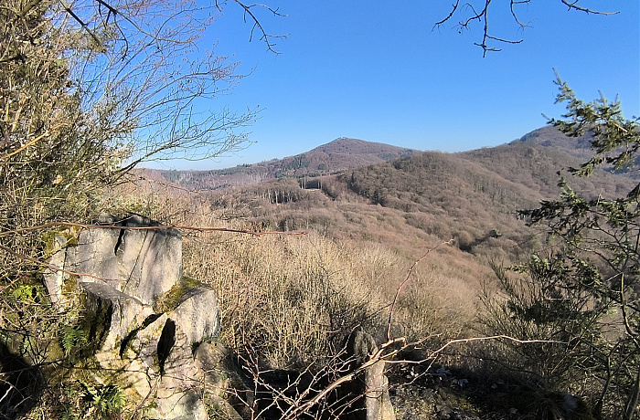 Klicke auf die Grafik für eine vergrößerte Ansicht  Name: 25.jpg Ansichten: 0 Größe: 1,04 MB ID: 3359832