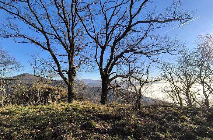 Klicke auf die Grafik für eine vergrößerte Ansicht  Name: 28.jpg Ansichten: 0 Größe: 1,27 MB ID: 3359835