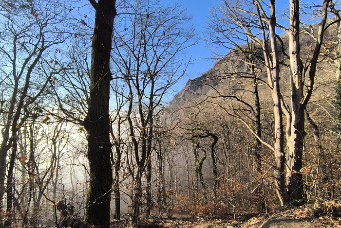 Klicke auf die Grafik für eine vergrößerte Ansicht  Name: 32.jpg Ansichten: 0 Größe: 1,22 MB ID: 3359837