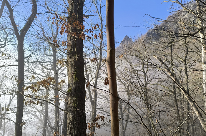 Klicke auf die Grafik für eine vergrößerte Ansicht  Name: 33.jpg Ansichten: 0 Größe: 1,18 MB ID: 3359838