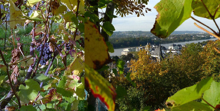 Klicke auf die Grafik für eine vergrößerte Ansicht

Name: Bilda2.jpg
Ansichten: 46
Größe: 160,8 KB
ID: 3359872